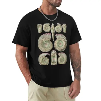Ernst Haeckel Ammonitida Amonita la Tierra Tonos de T-Camisa Blusa de gran tamaño camisetas lindos tops camisetas personalizadas Camisetas de hombre